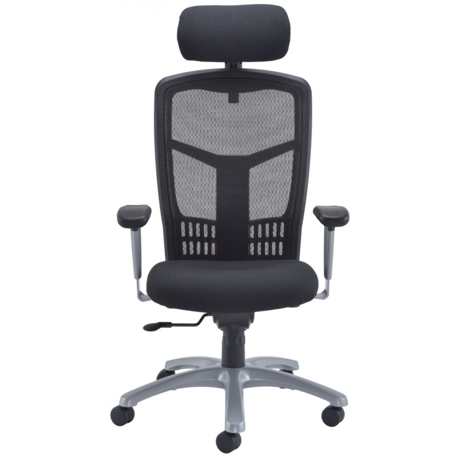Fonz Heavy Duty Posture 24 Hour Mesh Office Chair